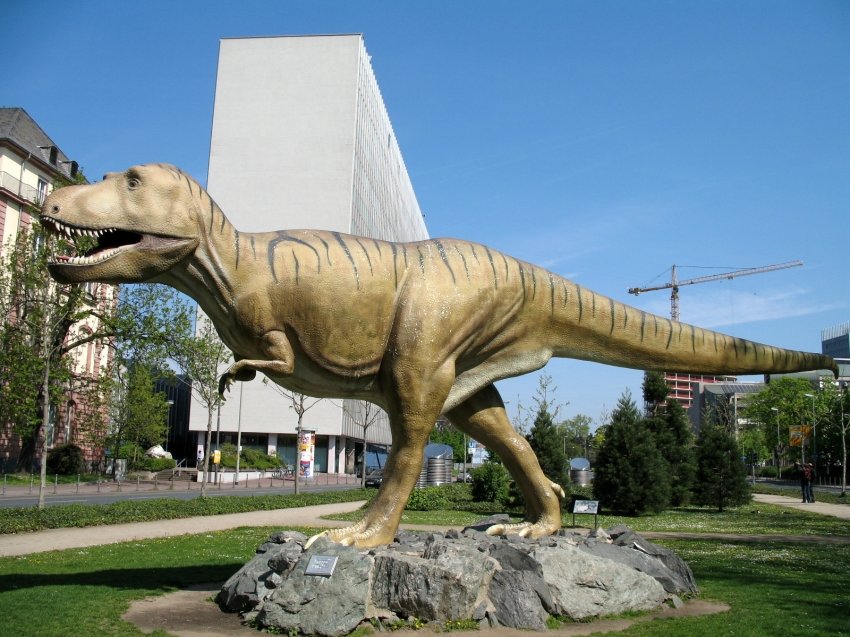 Senckenberg Natural History Museum